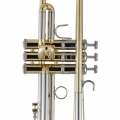 Bach 19043 Professional Trumpet