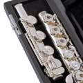 Selmer SFL511B in Case