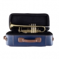 19072X Professional Trumpet on Case