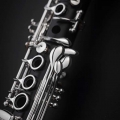 Herni Selmer Paris Eb Clarinet